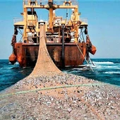 El gobierno llevará a los tribunales de la UE el cierre de caladeros a la pesca de arrastre El gobierno llevará a los tribunales de la UE el cierre de caladeros a la pesca de arrastre