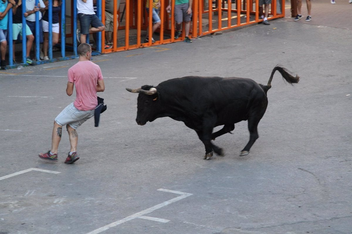 Muere un hombre tras sufrir una cogida en los 'bous al carrer' de Almassora Muere un hombre tras sufrir una cogida en los 'bous al carrer' de Almassora