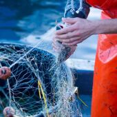 El gobierno llevará a los tribunales de la UE el cierre de caladeros a la pesca de arrastre