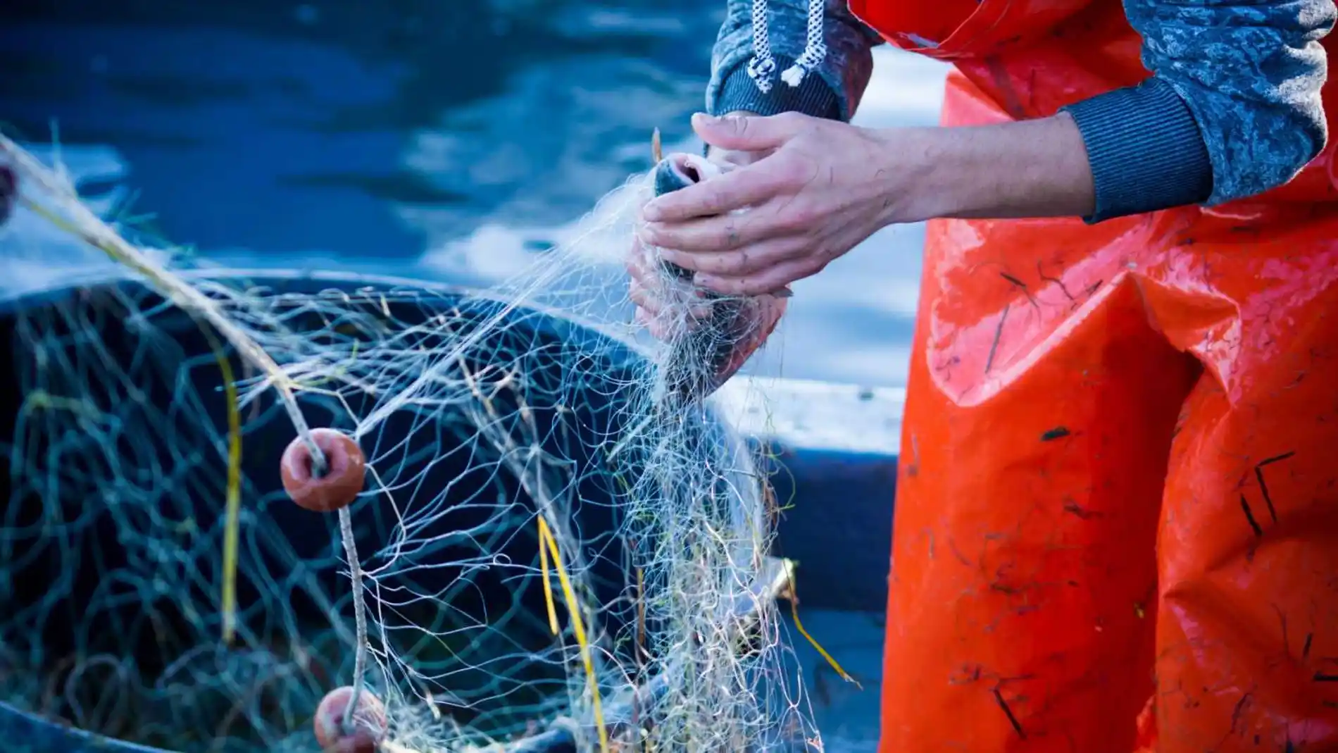 El gobierno llevará a los tribunales de la UE el cierre de caladeros a la pesca de arrastre