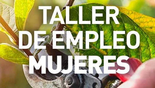 Guardamar aprueba iniciar el programa mixto de empleo y formación para mujeres Guardamar aprueba iniciar el programa mixto de empleo y formación para mujeres