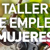 Guardamar aprueba iniciar el programa mixto de empleo y formación para mujeres Guardamar aprueba iniciar el programa mixto de empleo y formación para mujeres