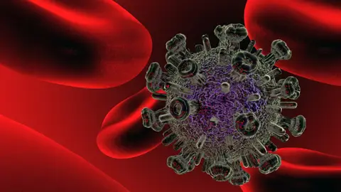 virus VIH virus VIH