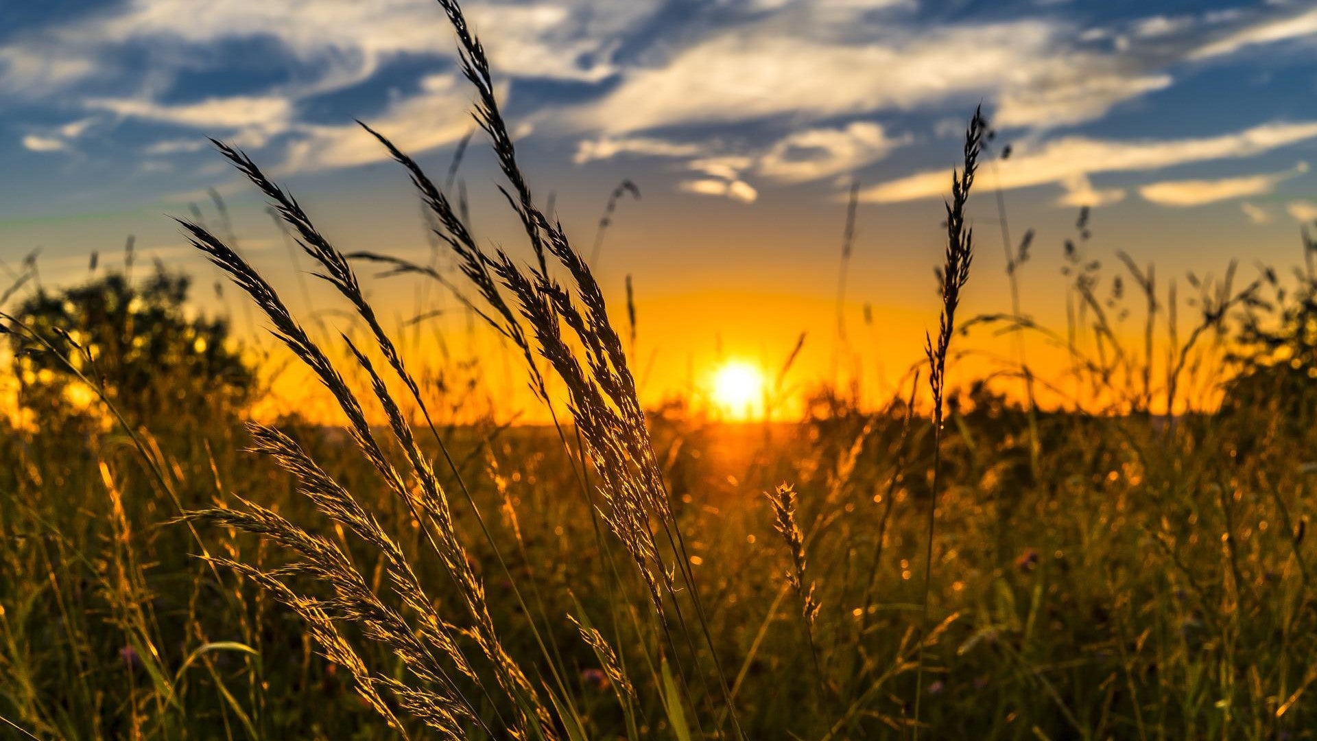 Nace DECALEON, la unión de agricultores y ganaderos al margen de los sindicatos del sector Nace DECALEON, la unión de agricultores y ganaderos al margen de los sindicatos del sector
