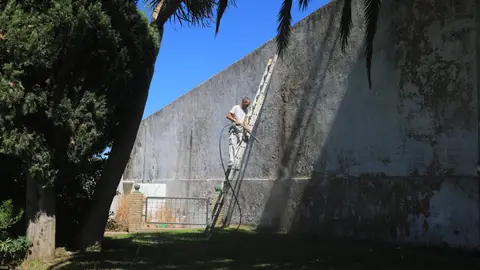 Los operarios municipales de San Fernando arreglando el cementerio Los operarios municipales de San Fernando arreglando el cementerio