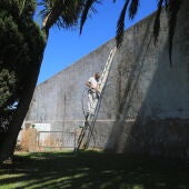 Los operarios municipales de San Fernando arreglando el cementerio