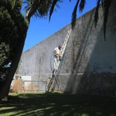 Los operarios municipales de San Fernando arreglando el cementerio Los operarios municipales de San Fernando arreglando el cementerio