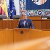 El consejero de Hacienda, Carlos Pérez Anadón, durante su intervención en el pleno