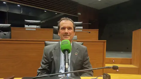 Mikel Asiain Parlamentario de Geroa Bai