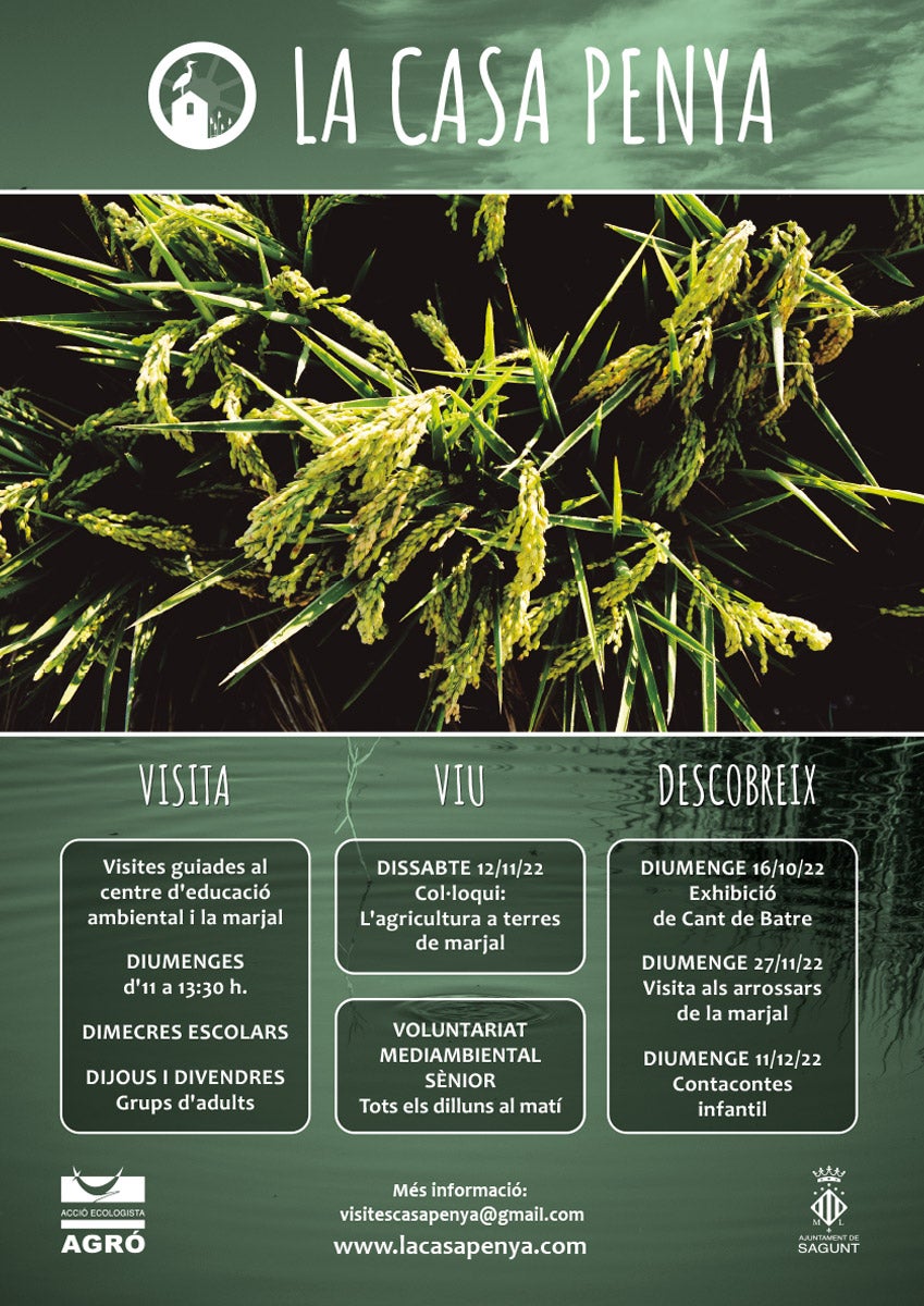 El arroz y su importancia en el marjal protagoniza el otoño en La Casa Peña El arroz y su importancia en el marjal protagoniza el otoño en La Casa Peña