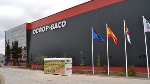 Dcoop Baco