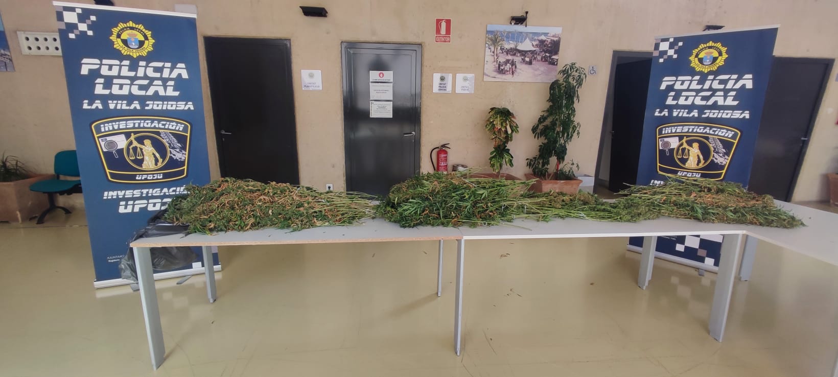 La policía local de la Vila incauta 13 kilos de marihuana en un control rutinario La policía local de la Vila incauta 13 kilos de marihuana en un control rutinario