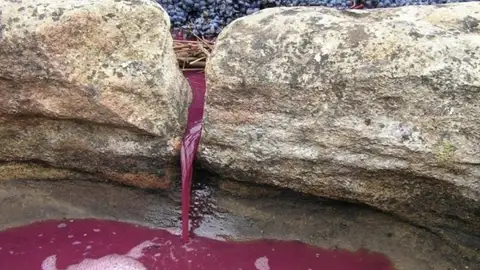 oimbra oimbra