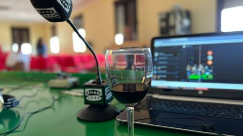 Fiesta Vendimia desde Baco