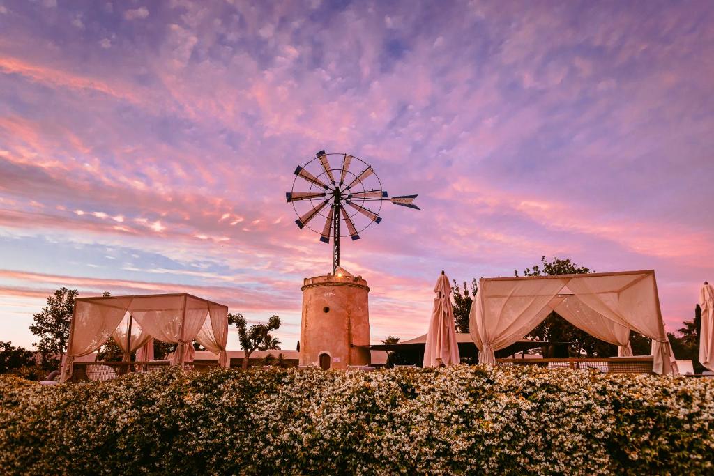 La isla de Ibiza acoge del 28 al 30 de octubre el evento wellness más importante del año La isla de Ibiza acoge del 28 al 30 de octubre el evento wellness más importante del año