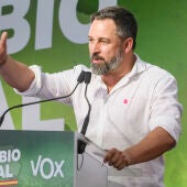 El líder nacional de Vox, Santiago Abascal. 
