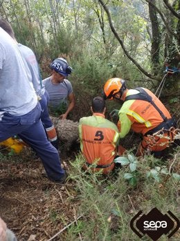 Rescatado un perro que se cayó a un pozo de una antigua mina en Aller Rescatado un perro que se cayó a un pozo de una antigua mina en Aller