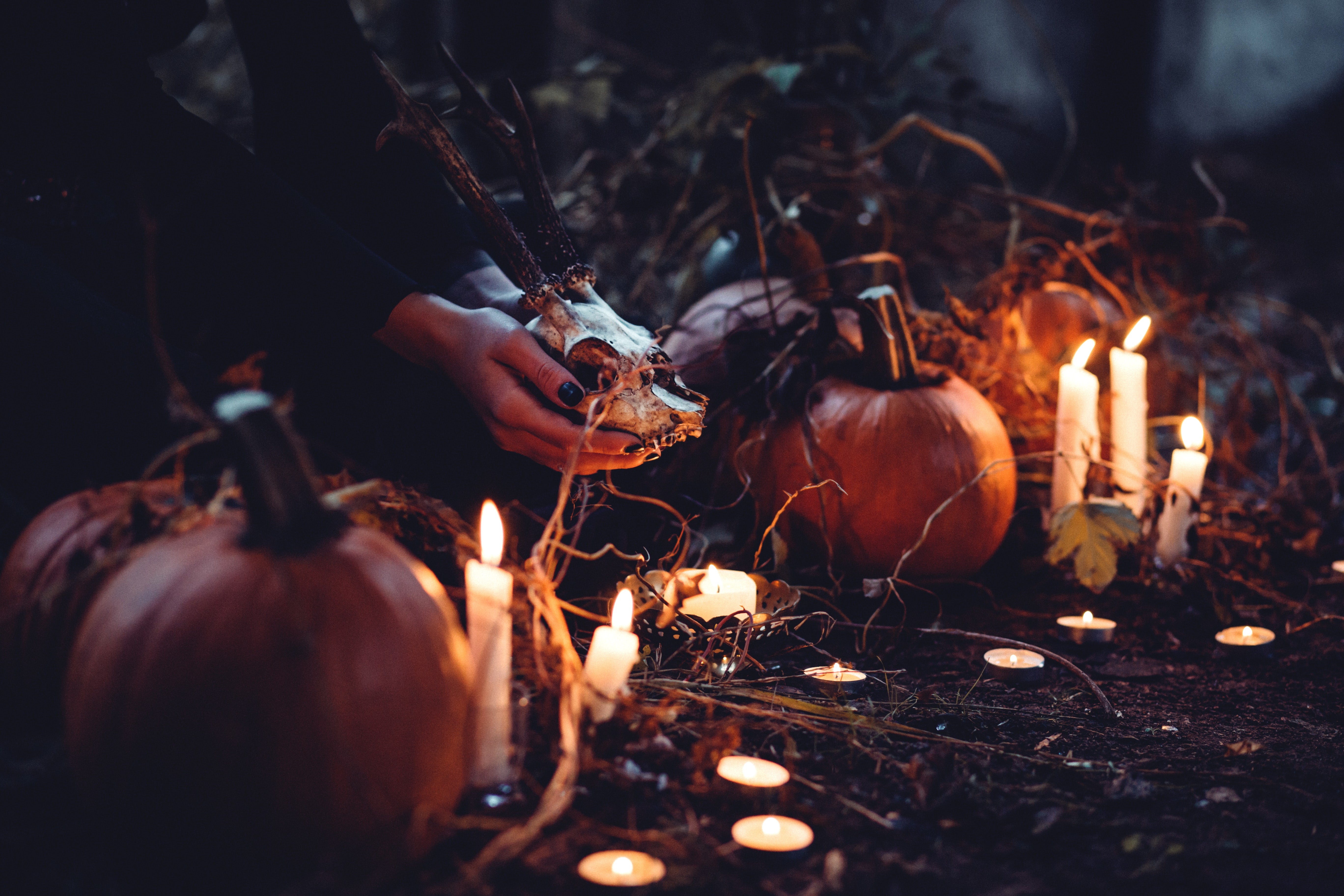 Ecos del Pasado: El origen de Halloween Ecos del Pasado: El origen de Halloween