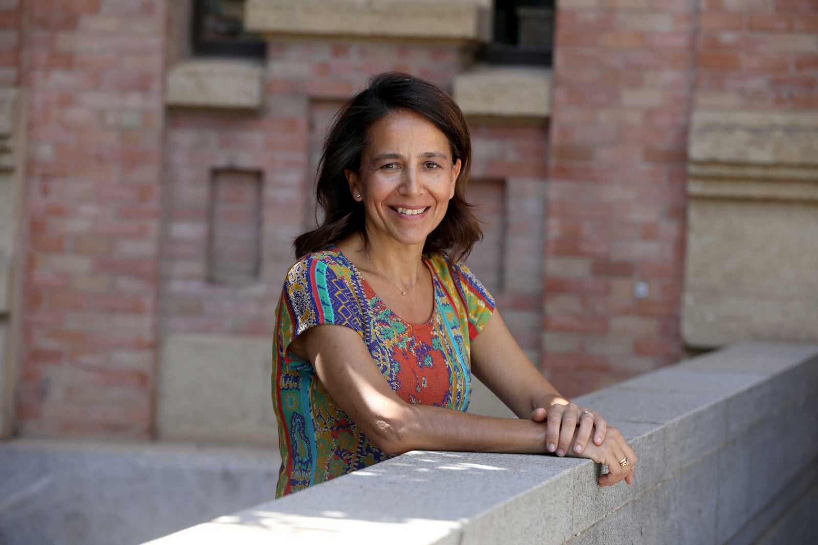 Plan de transferencia e innovación Plan de transferencia e innovación