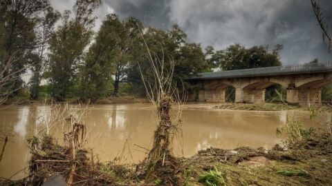Fotografia de Teresa Lurbe, guanyadora del concurs d'enguany