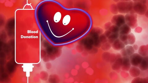 Repasamos los puntos de donaci&oacute;n de sangre en la Vega Baja de cara a los pr&oacute;ximos d&iacute;as