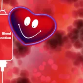 Repasamos los puntos de donación de sangre en la Vega Baja de cara a los próximos días Repasamos los puntos de donación de sangre en la Vega Baja de cara a los próximos días