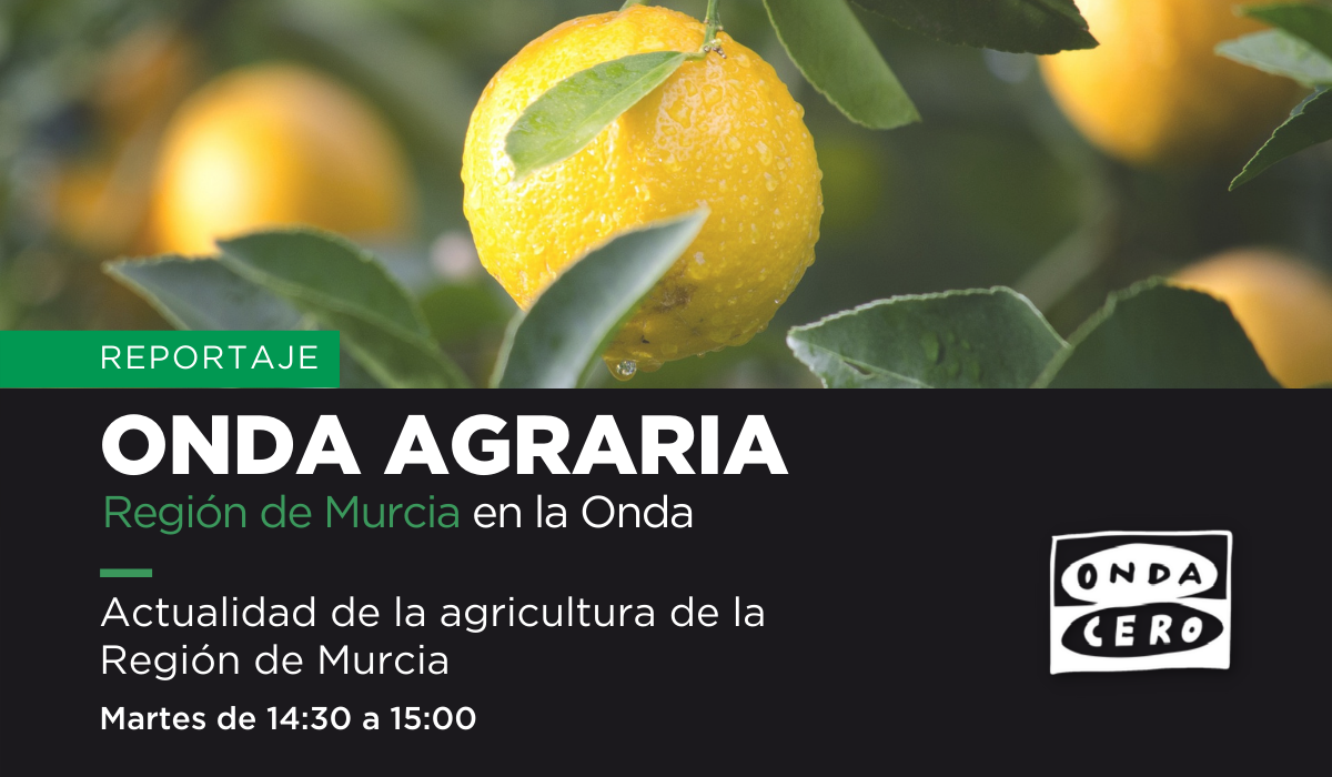 Onda Agraria/ Región de Murcia en la Onda 14/02/23 Onda Agraria/ Región de Murcia en la Onda 14/02/23
