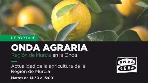 Onda Agraria. Mari Paz Mart&iacute;nez. Regi&oacute;n de Murcia en la Onda.