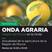 Onda Agraria. Mari Paz Martínez. Región de Murcia en la Onda.