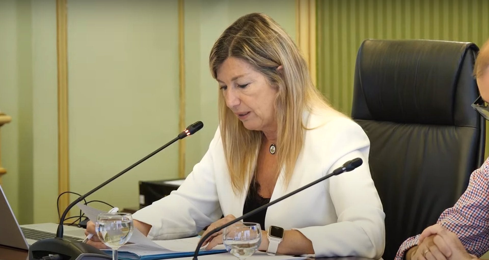 Gómez admite "demoras más largas de las deseables" en Atención Primara Gómez admite "demoras más largas de las deseables" en Atención Primara