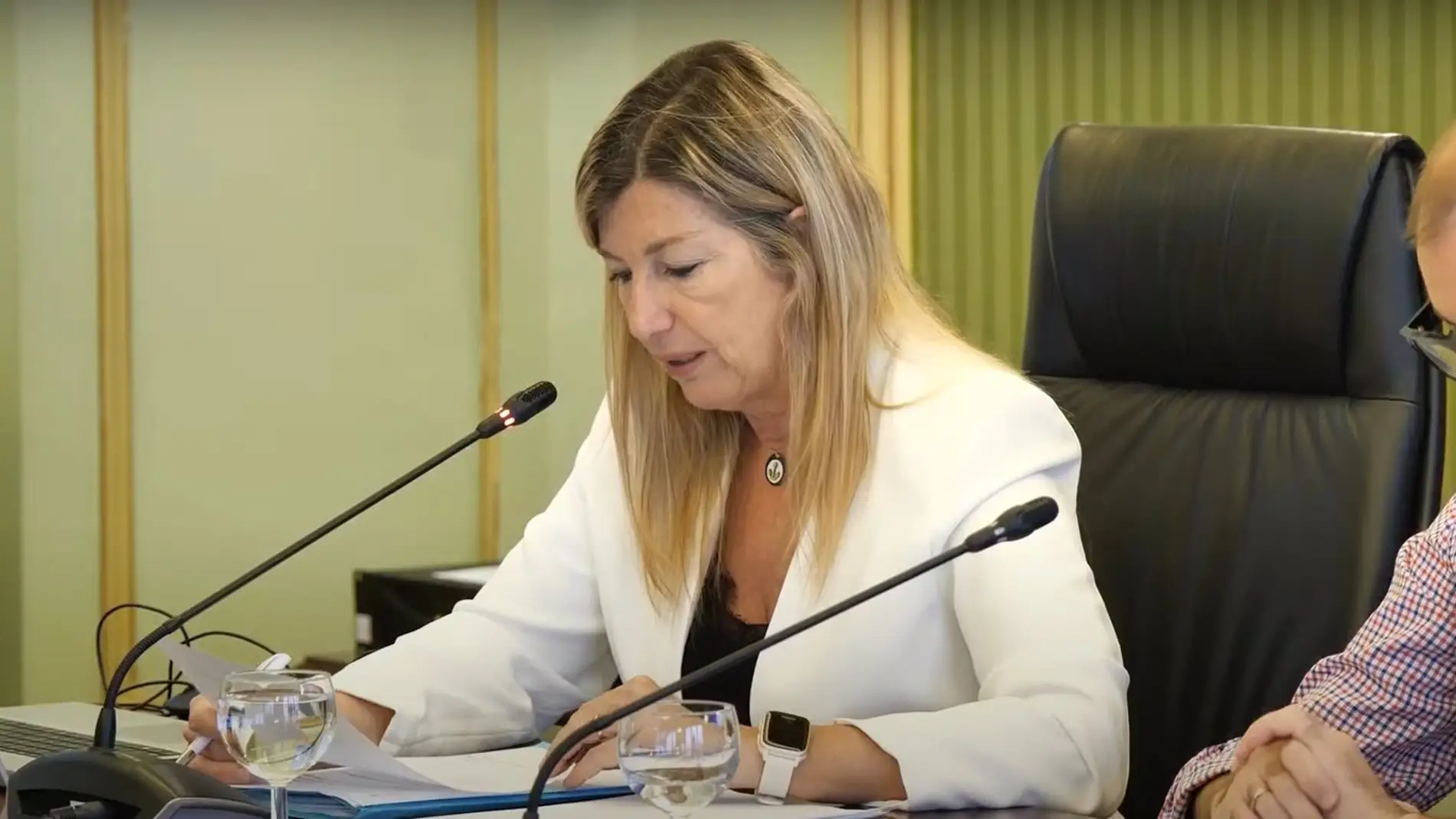 Gómez admite "demoras más largas de las deseables" en Atención Primara
