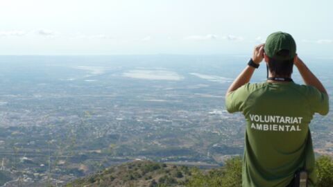 Uno de los miembros del Voluntariado Ambiental de Crevillent