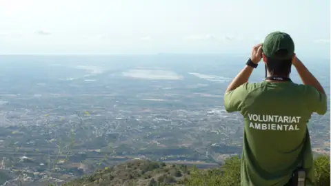 Uno de los miembros del Voluntariado Ambiental de Crevillent Uno de los miembros del Voluntariado Ambiental de Crevillent