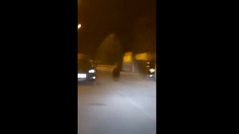 Un oso recorre las calles de Ponferrada