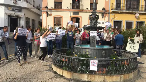 El único objetivo del Ayuntamiento de Salvatierra es paralizar el proyecto de Vertedero en la localidad El único objetivo del Ayuntamiento de Salvatierra es paralizar el proyecto de Vertedero en la localidad