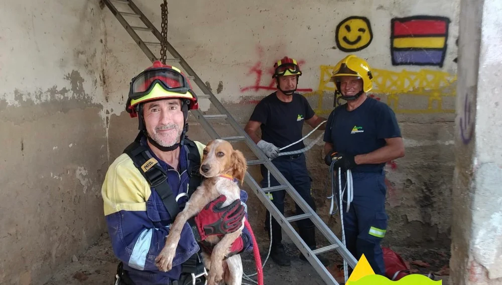Perro rescatado por los bomberos de Ciudad Real