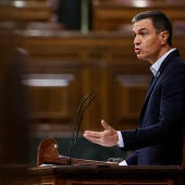 El presidente del Gobierno, Pedro Sánchez, este jueves en el Congreso de los Diputados