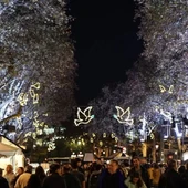 Barcelona retallarà les hores d’encesa dels llums de Nadal Barcelona retallarà les hores d’encesa dels llums de Nadal