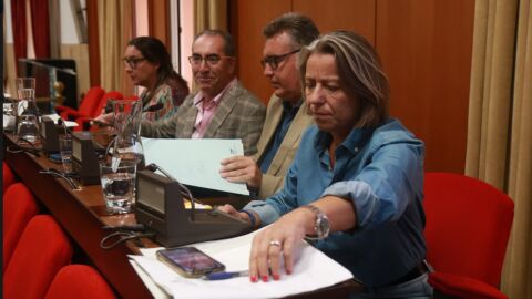 Grupo de C&acute;s en el pleno municipal