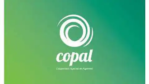 Copal Algemesí Copal Algemesí