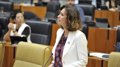 La Junta pide confianza a los vecinos de Salvatierra ya que "hará cumplir la ley" en el proyecto de macrovertedero La Junta pide confianza a los vecinos de Salvatierra ya que "hará cumplir la ley" en el proyecto de macrovertedero