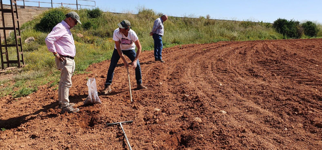 El Seprona pide la suspensión "inmediata" de producción agrícola en tres fincas por alta contaminación de metales pesados El Seprona pide la suspensión "inmediata" de producción agrícola en tres fincas por alta contaminación de metales pesados