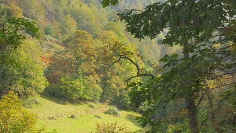 Asturias en oto&ntilde;o