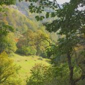 Asturias en otoño