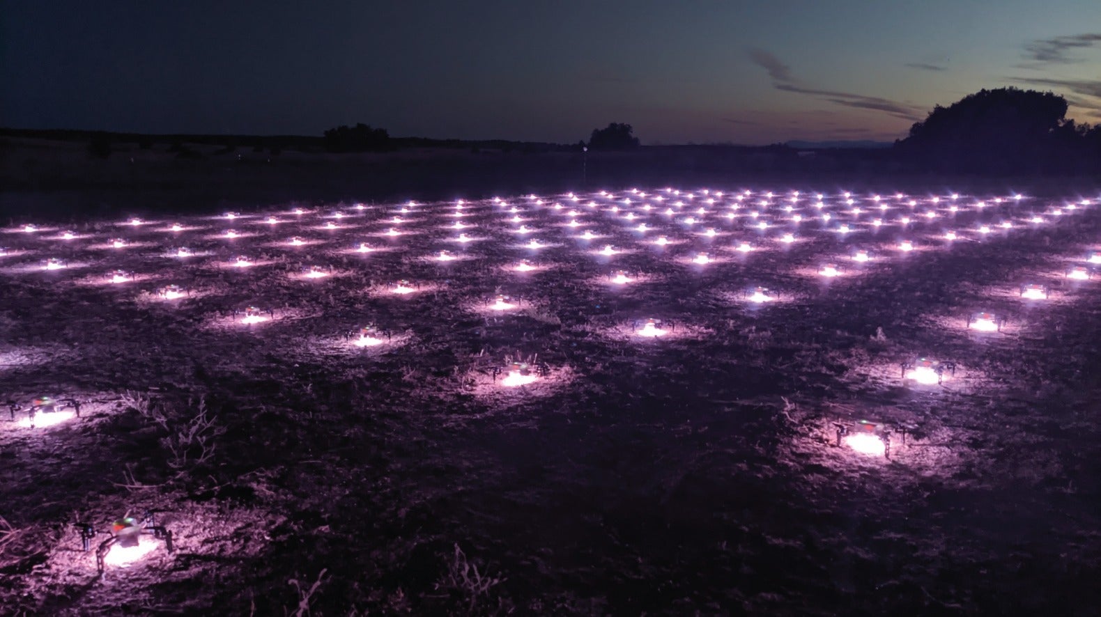 Recta final de las fiestas del Pilar con importantes novedades Recta final de las fiestas del Pilar con importantes novedades