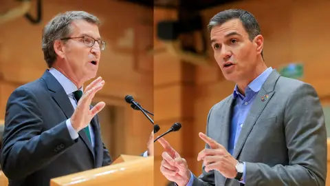 Sánchez deplora el modelo fiscal del PP ante un Feijóo que le acusa de "hipotecar" al país Sánchez deplora el modelo fiscal del PP ante un Feijóo que le acusa de "hipotecar" al país
