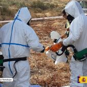 La CHT acomete trabajos de retirada de amianto en el arroyo Ramabujas en Toledo