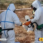 La CHT acomete trabajos de retirada de amianto en el arroyo Ramabujas en Toledo La CHT acomete trabajos de retirada de amianto en el arroyo Ramabujas en Toledo