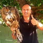 Un ejemplar de Búho Real salvado de la muerte tras caer a una balsa de riego Un ejemplar de Búho Real salvado de la muerte tras caer a una balsa de riego