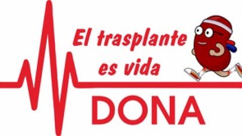 Camino santiago solidario